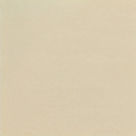 색상_ChampagneGold_01